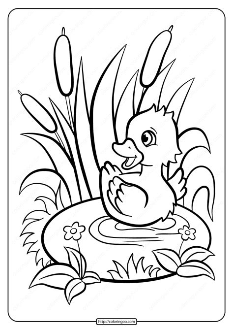 Printable Baby Duckling Pdf Coloring Page