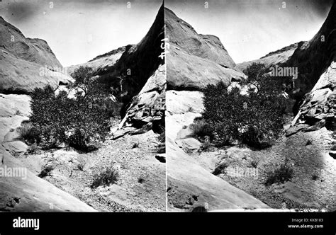 Stereograph Showing The Landscape Of A Side Ravine In Glen Canyon Utah