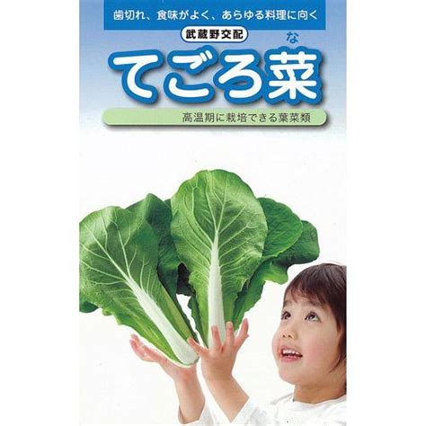 てごろ菜 その他葉菜類の種 小袋 約20ml 野菜の種 5159710菜園くらぶ Yahoo店 通販 Yahoo