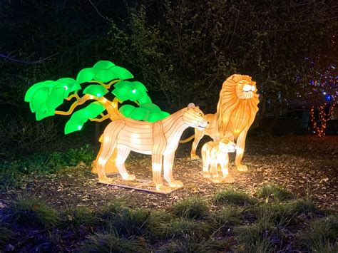 ZooLights brings glowing animal lanterns, virtual reality experience to ...