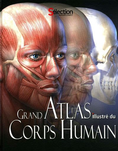 Grand Atlas Illustr Du Corps Humain Reli Collectif Achat Livre