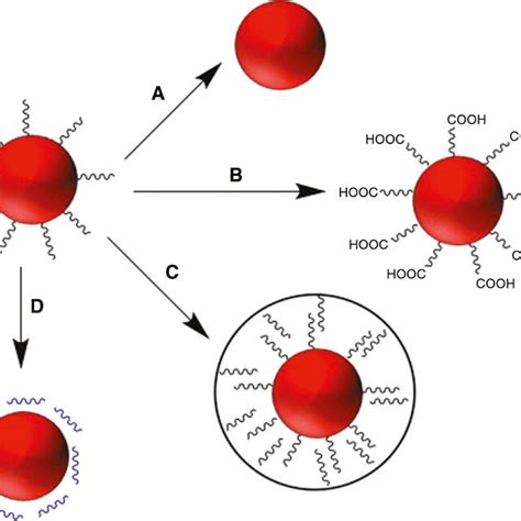 Energy Diagrams Of Yb Er Ho And Tm And Ets Involved In Their