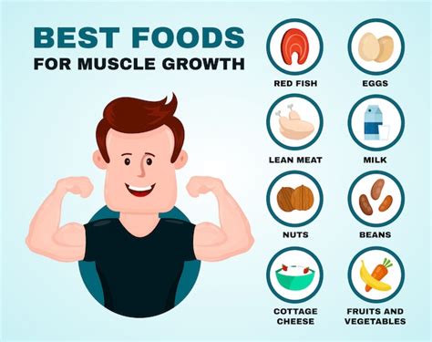 Los Mejores Alimentos Para El Crecimiento Muscular Infografía Vector Premium