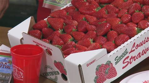 Ponchatoula Strawberry Fest Andrei Virginie