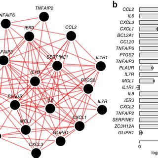 Predicted Il B Functional Interaction Partners From The Blood Vessel