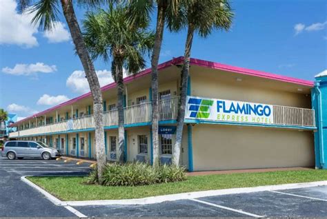 Flamingo Express Hotel, Kissimmee, USA | Hotel, Kissimmee, Hotel offers