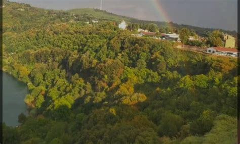 Buona Partecipazione Al Presidio Di Genzano Per Le Tutele Dei Boschi