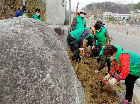 새마을운동함양군지회 탄소중립 실천을 위한 나무심기 실시 Hy인산인터넷신문