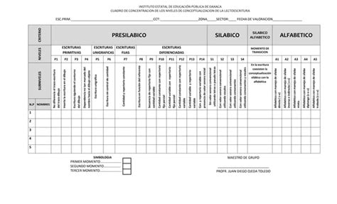 Cuadro De Registro De Los Niveles De Conceptualizaci N De La