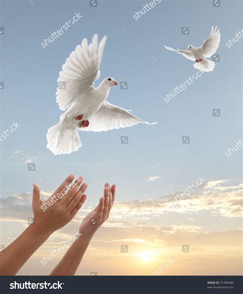 Praying Hands And Dove Clip Art