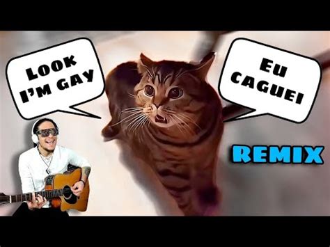 Look Im Gay Cat Meme 1 HOUR LONG YouTube