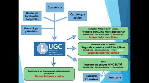 Nuestra Unidad UGC La web de las Cardiopatías Congénitas