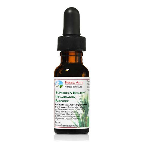 Anti-inflammatory for cats | Herbal Anti Tincture for Cats | Vitality Science