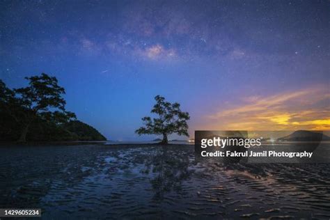 17 Pulau Mawar Mersing Stock Photos High Res Pictures And Images