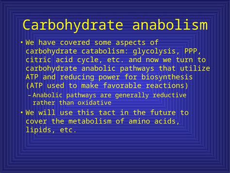 Ppt Carbohydrate Anabolism Dokumen Tips