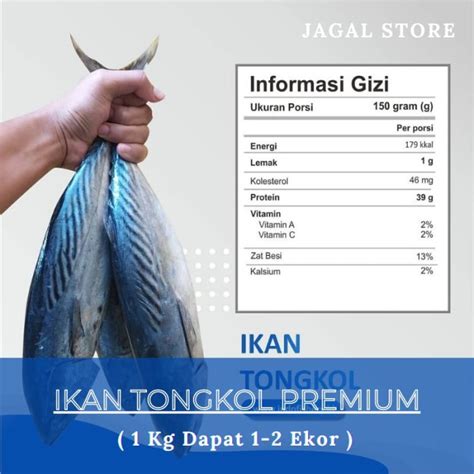 Jual Ikan Tongkol Segar Besar 1kg FILET Indonesia Shopee Indonesia