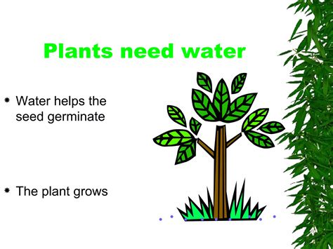 Growing Plants Ppt