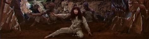 Nasowas Header Kate Bush Encyclopedia