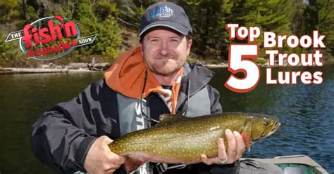 Top 5 Brook Trout Lures | Fish'n Canada