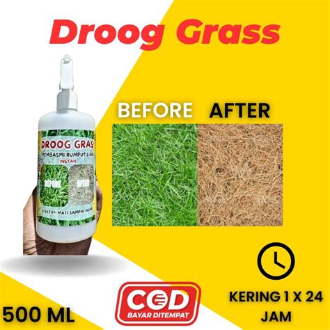 Jual Cairan Semprot Droog Grass Racun Rumput Spray Instan Ml