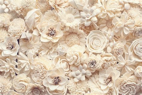 Flowers Ivory Cream - Free photo on Pixabay - Pixabay