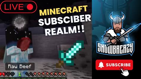 Minecraft Subscriber Realm And Testing New Bedrock Add Ons Youtube