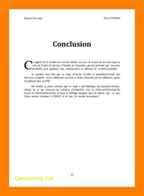 9 Conclusion Rapport De Stage Thriller Doctor Rapport De Stage Hot