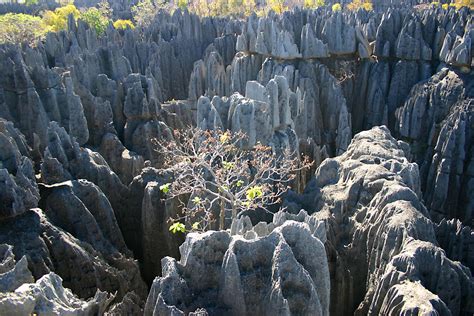 Tsingy de Bemaraha: Temporarily Closed To Public | by Kristine Gesmundo