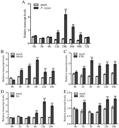 Expression Patterns Of Gmwrky Under Diverse Stress Conditions