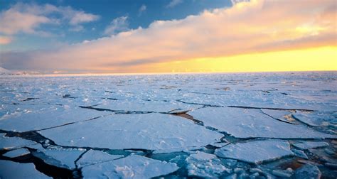 Young Sea Ice Is Melting Before It Can Make Its Transarctic Journey