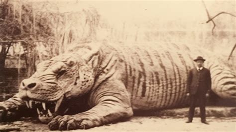 15 Rare Videos Of Extinct Animals Youtube