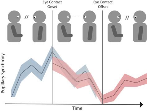 Study Explains The Role Of Eye Contact In Effective Conversation