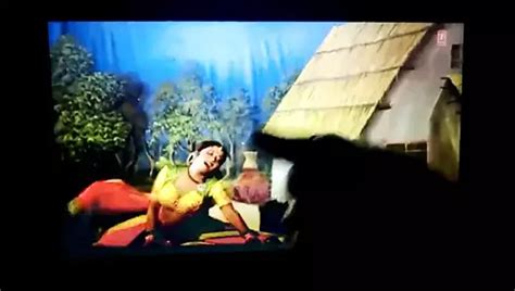 Cum Tribute On Rashmika Mandanna Gay Porn Xhamster