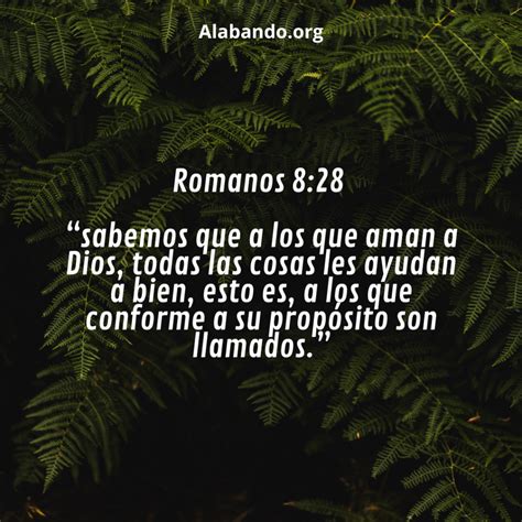 100 Imágenes Cristianas Sobre No Rendirse Alabando