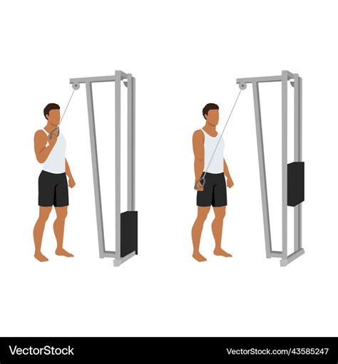 Man Doing Single Arm Cable Triceps Extension Vector Image