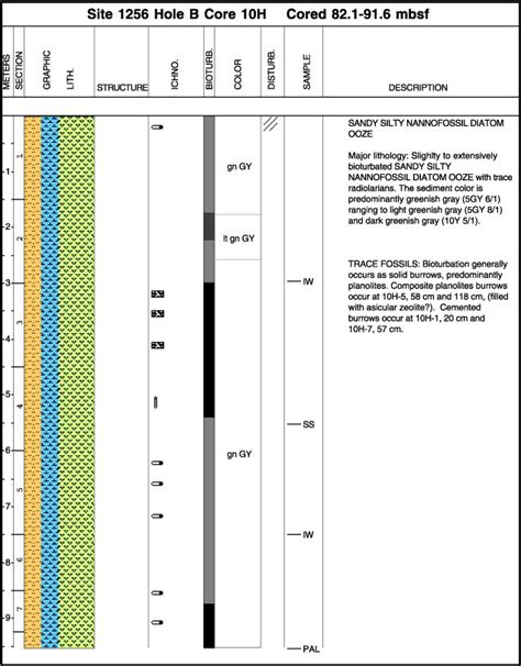 Figure F2 Example Of A Computer Generated Visual Core Description