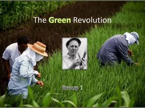 Ppt The Green Revolution Powerpoint Presentation Free Download Id9343970