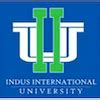 Indus International University Ranking