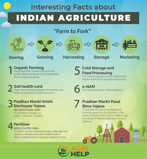 Agriculture Production Presentation