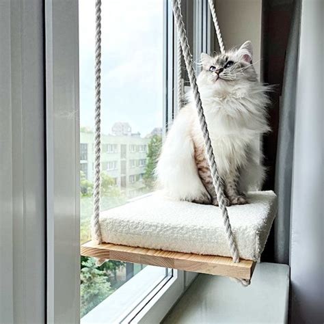 Cat window perch cat hammock cat window bed wood cat etsy – Artofit