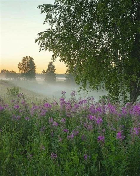 Pin by Зинаида on Лето | Landscape photography nature, Beautiful photos ...