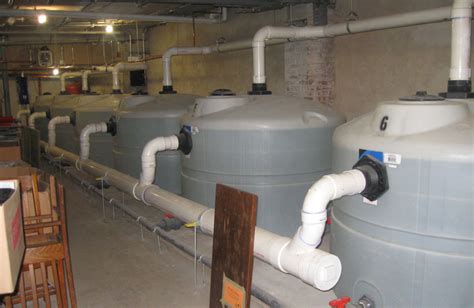 45 Cisterns Development Services