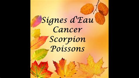 Guidance Pour Les Signes D Eaucancerscorpionpoissons Me