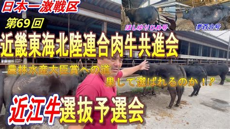 かめこう 銘柄牛の激戦区＃近畿東海北陸連合肉牛共進会！滋賀予選会♪農林水産省大臣賞への道♪＃近江牛＃神戸牛＃松坂牛＃京都牛＃飛騨牛＃伊賀牛