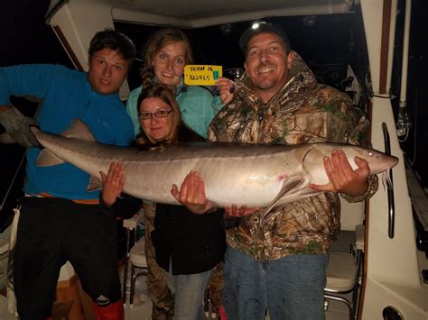 St Clair Detroit River Sturgeon For Tomorrow Photos