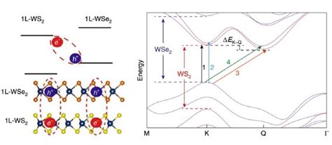 二维光电子学WS2 WSe2异质层中扭曲角依赖的层间激子扩散Nat Mat 2020 费米科技