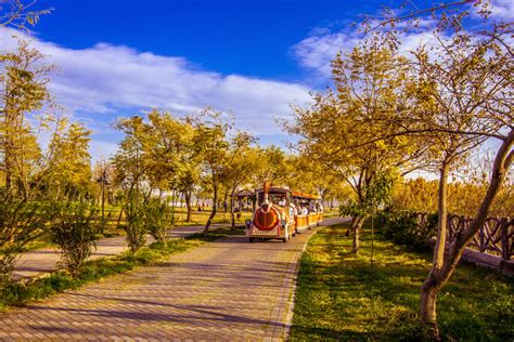 Parks In Islamabad Best Amusement Parks Islamabad