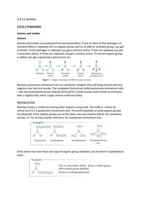 Amines Chemistry A Level A Levels Aqa Thinkswap