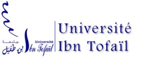 University Ibn Tofail Of Kenitra UNIMED