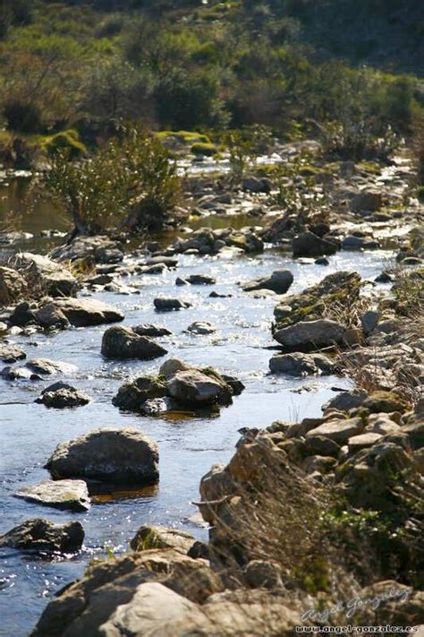 Expertos Andaluces Confirman Que Los Niveles De Metales En Los Vecinos